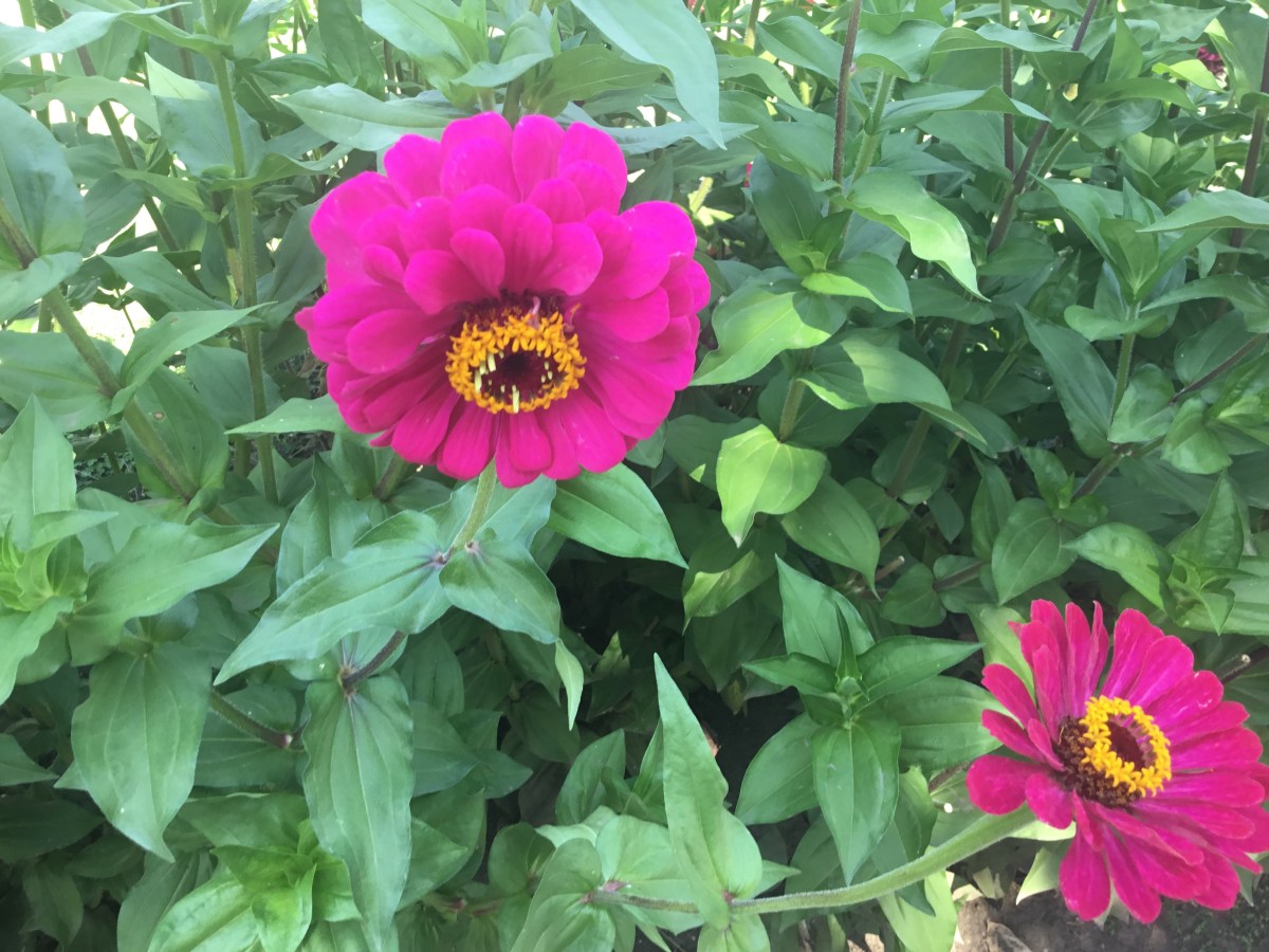 Cause, effect, courage and&nbsp;empathy